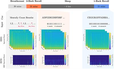Mental State Assessment and Validation Using Personalized Physiological Biometrics